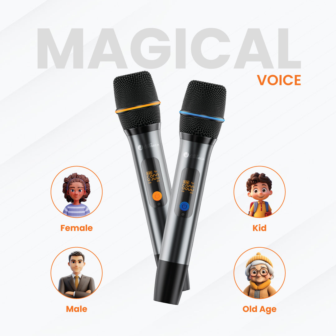 JC Sonic Sphere 450W