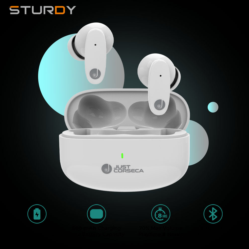 Ray jay earbuds 2025 review
